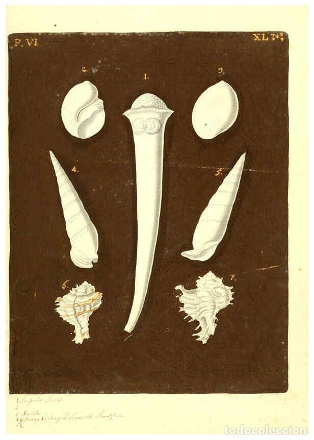 Colecionismo de Revistas e Jornais: Reproducci&oacute;n/Reproduction 6096126227: Vergn&uuml;gen der Augen und des Gem&uuml;ths. v.2 atlas. [Nuremberg :17