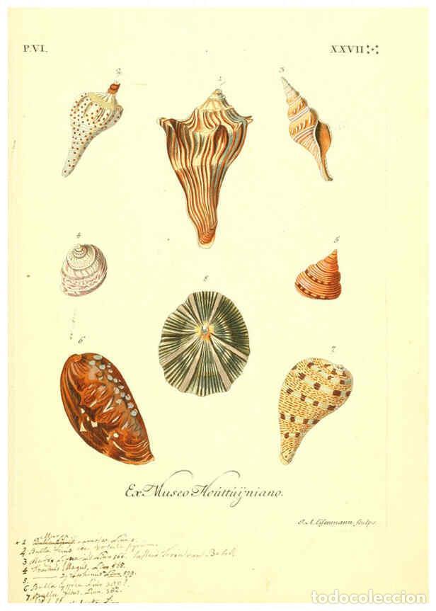 Colecionismo de Revistas e Jornais: Reproducci&oacute;n/Reproduction 6096122809: Vergn&uuml;gen der Augen und des Gem&uuml;ths. v.2 atlas. [Nuremberg :17