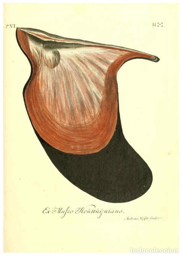 Colecionismo de Revistas e Jornais: Reproducci&oacute;n/Reproduction 6096660514: Vergn&uuml;gen der Augen und des Gem&uuml;ths. v.2 atlas. [Nuremberg :17