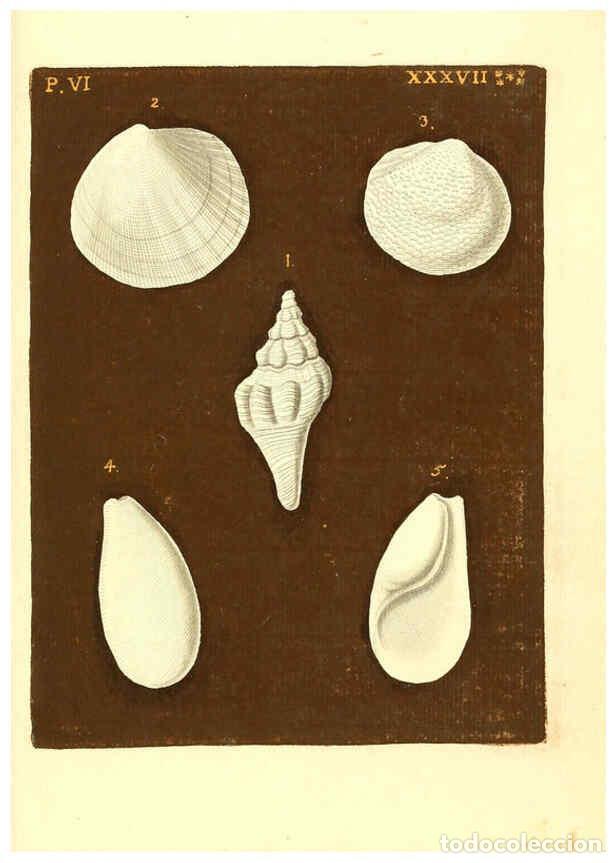 Colecionismo de Revistas e Jornais: Reproducci&oacute;n/Reproduction 6096670210: Vergn&uuml;gen der Augen und des Gem&uuml;ths. v.2 atlas. [Nuremberg :17