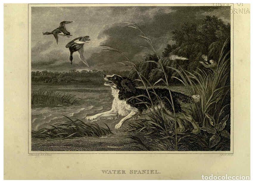 Colecionismo de Revistas e Jornais: Reproducci&oacute;n/Reproduction 6100009884: The sportsman's repository London,Henry G. Bohn,1845 - John Sc