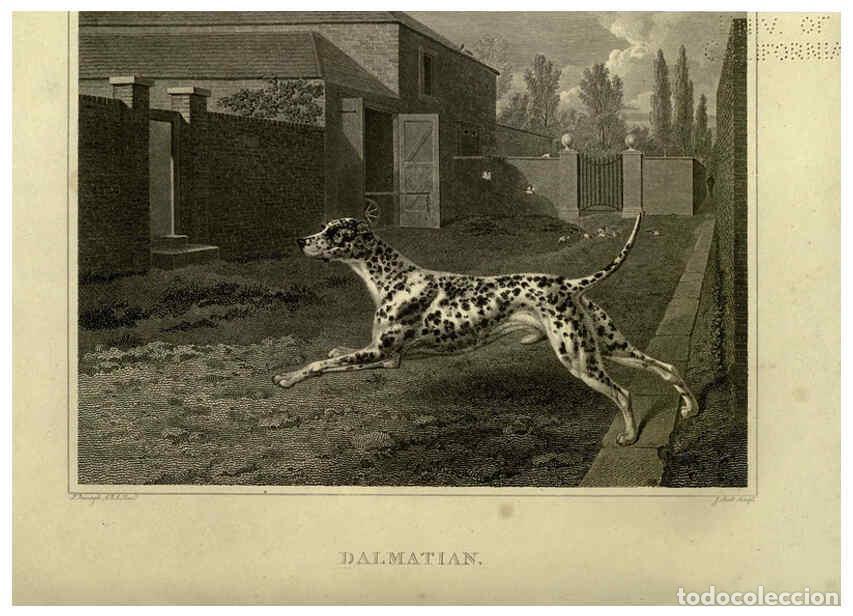 Colecionismo de Revistas e Jornais: Reproducci&oacute;n/Reproduction 6099464765: The sportsman's repository London,Henry G. Bohn,1845 - John Sc