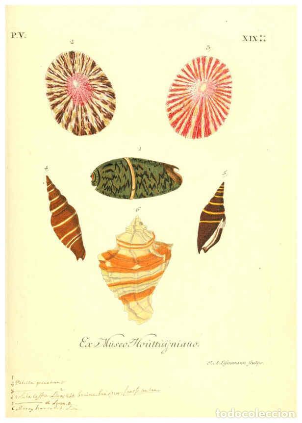 Colecionismo de Revistas e Jornais: Reproducci&oacute;n/Reproduction 6096110895: Vergn&uuml;gen der Augen und des Gem&uuml;ths. v.2 atlas. [Nuremberg :17