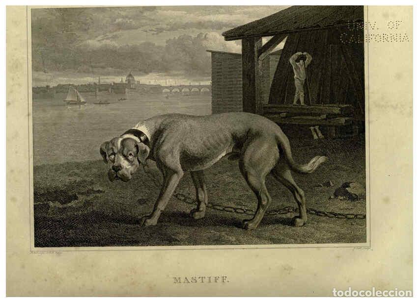 Colecionismo de Revistas e Jornais: Reproducci&oacute;n/Reproduction 6099465831: The sportsman's repository London,Henry G. Bohn,1845 - John Sc