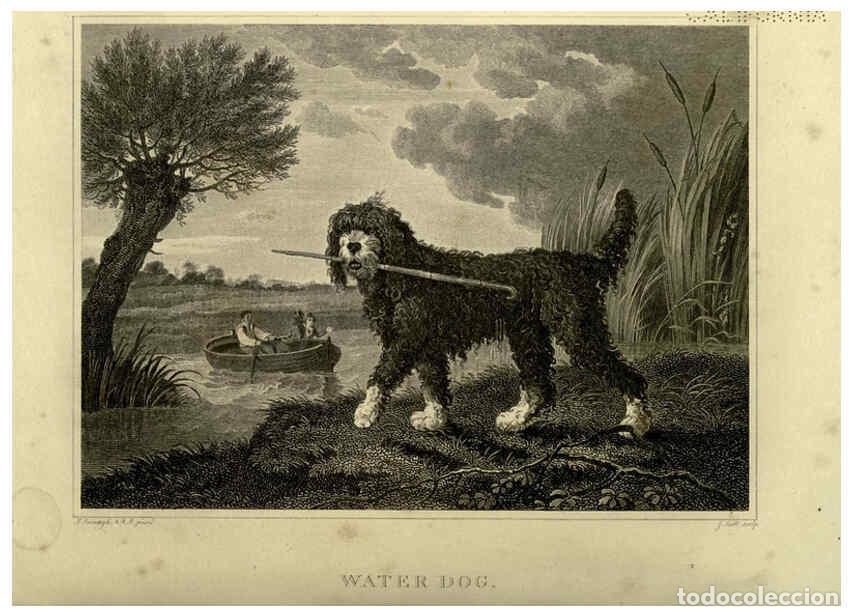 Colecionismo de Revistas e Jornais: Reproducci&oacute;n/Reproduction 6099463911: The sportsman's repository London,Henry G. Bohn,1845 - John Sc