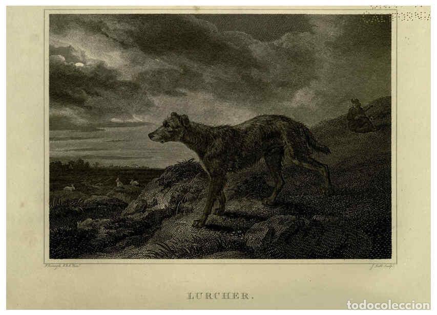 Colecionismo de Revistas e Jornais: Reproducci&oacute;n/Reproduction 6100009096: The sportsman's repository London,Henry G. Bohn,1845 - John Sc