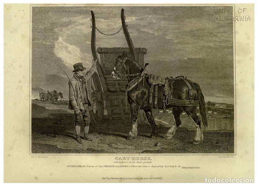 Collezionismo di Riviste e Giornali: Reproducci&oacute;n/Reproduction 6100005388: The sportsman's repository London,Henry G. Bohn,1845 - John Sc