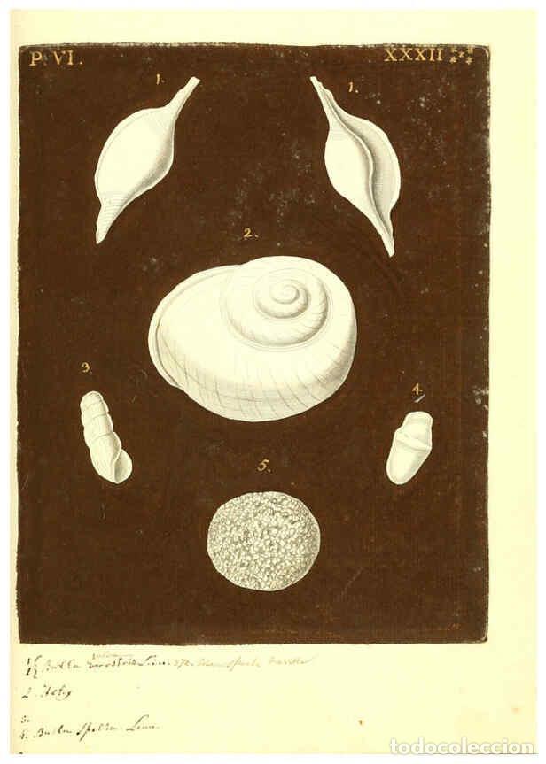 Collezionismo di Riviste e Giornali: Reproducci&oacute;n/Reproduction 6096124177: Vergn&uuml;gen der Augen und des Gem&uuml;ths. v.2 atlas. [Nuremberg :17