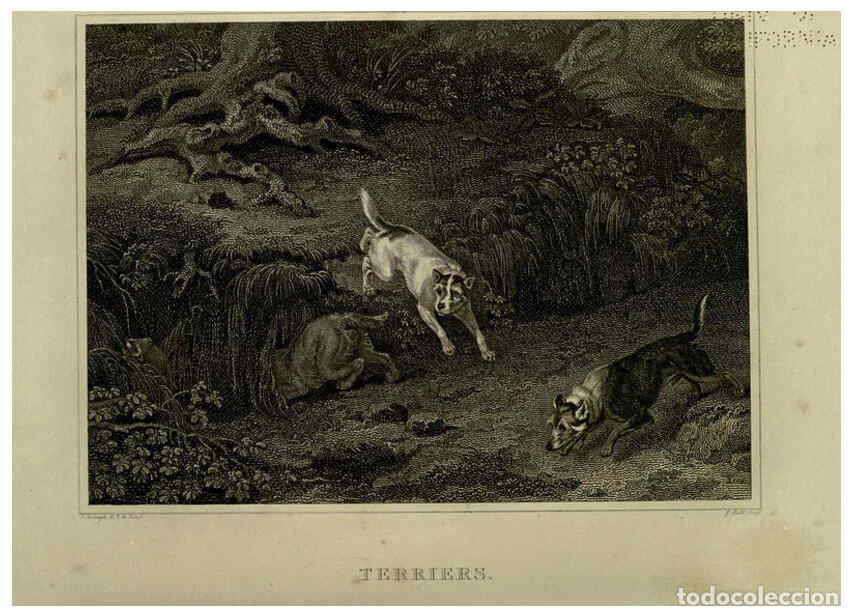 Collezionismo di Riviste e Giornali: Reproducci&oacute;n/Reproduction 6099461403: The sportsman's repository London,Henry G. Bohn,1845 - John Sc