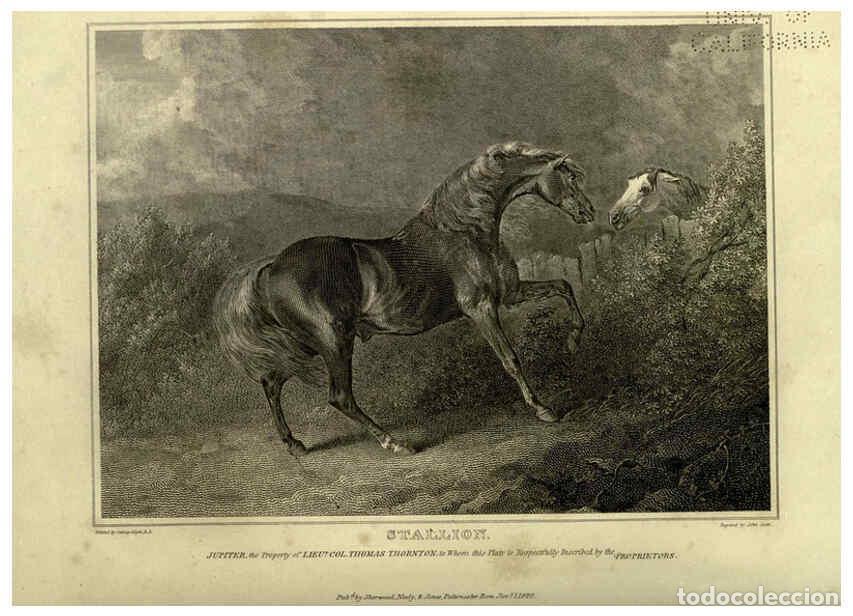 Collezionismo di Riviste e Giornali: Reproducci&oacute;n/Reproduction 6100005552: The sportsman's repository London,Henry G. Bohn,1845 - John Sc