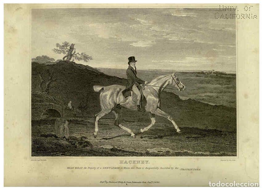 Collezionismo di Riviste e Giornali: Reproducci&oacute;n/Reproduction 6099458609: The sportsman's repository London,Henry G. Bohn,1845 - John Sc