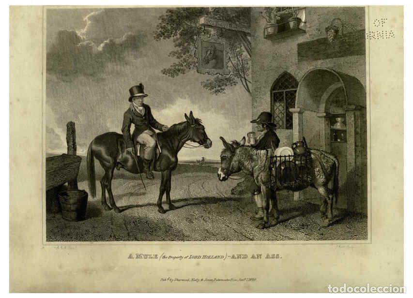 Collezionismo di Riviste e Giornali: Reproducci&oacute;n/Reproduction 6099460197: The sportsman's repository London,Henry G. Bohn,1845 - John Sc