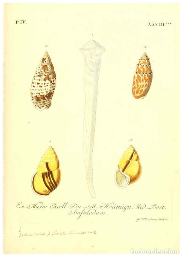 Coleccionismo de Revistas y Peri&oacute;dicos: Reproducci&oacute;n/Reproduction 6096649652: Vergn&uuml;gen der Augen und des Gem&uuml;ths. v.2 atlas. [Nuremberg :17