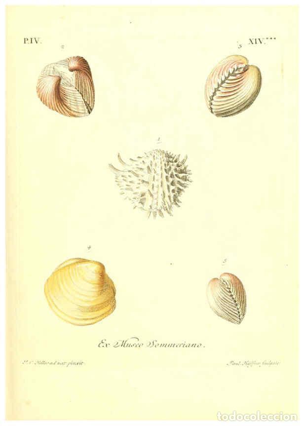 Coleccionismo de Revistas y Peri&oacute;dicos: Reproducci&oacute;n/Reproduction 6096101821: Vergn&uuml;gen der Augen und des Gem&uuml;ths. v.2 atlas. [Nuremberg :17