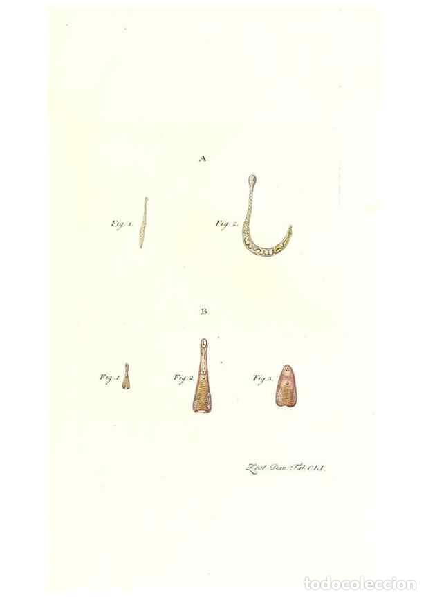 Coleccionismo de Revistas y Peri&oacute;dicos: Reproducci&oacute;n/Reproduction 7497783774: Zoologia danica, sev Animalivm Daniae et Norvegiae rariorvm ac