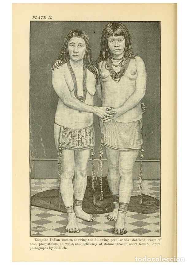 Coleccionismo de Revistas y Peri&oacute;dicos: Reproducci&oacute;n/Reproduction 7508302234: The origin of the fittest :. New York :D. Appleton,1887. - Cop