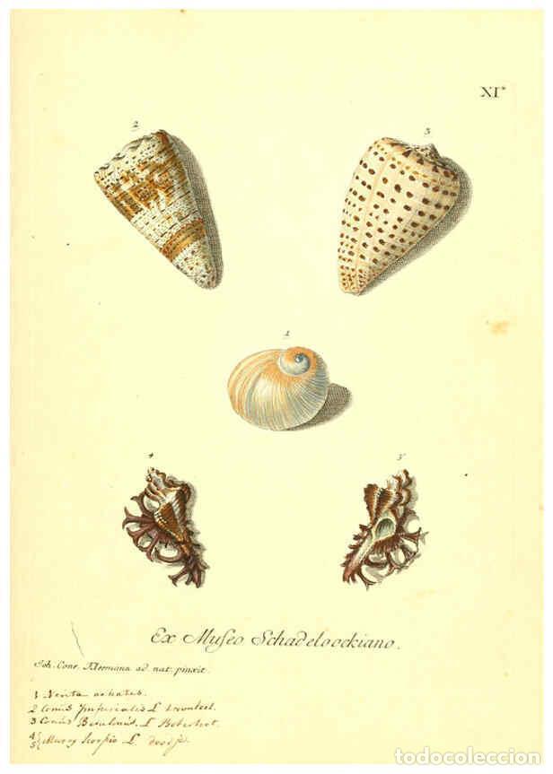 Coleccionismo de Revistas y Peri&oacute;dicos: Reproducci&oacute;n/Reproduction 6096085795: Vergn&uuml;gen der Augen und des Gem&uuml;ths. v.2 atlas. [Nuremberg :17