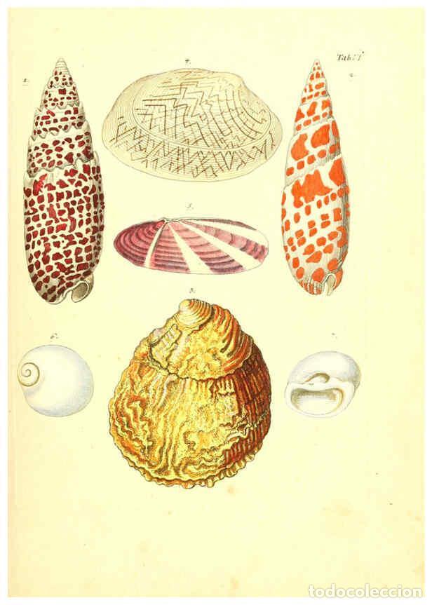 Coleccionismo de Revistas y Peri&oacute;dicos: Reproducci&oacute;n/Reproduction 6096620750: Vergn&uuml;gen der Augen und des Gem&uuml;ths. v.2 atlas. [Nuremberg :17