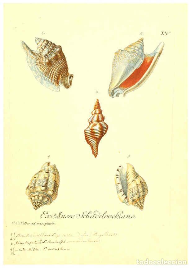 Coleccionismo de Revistas y Peri&oacute;dicos: Reproducci&oacute;n/Reproduction 6096631184: Vergn&uuml;gen der Augen und des Gem&uuml;ths. v.2 atlas. [Nuremberg :17