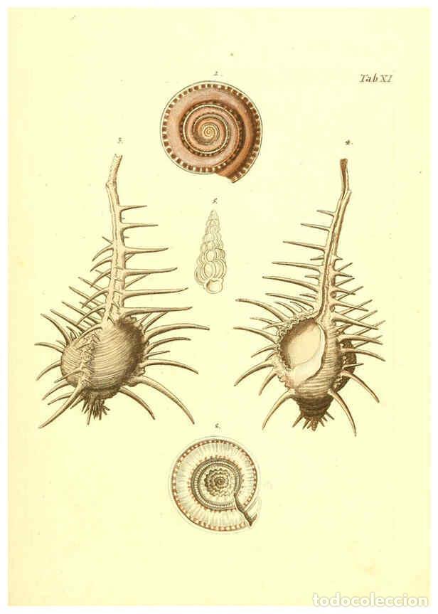 Coleccionismo de Revistas y Peri&oacute;dicos: Reproducci&oacute;n/Reproduction 6096077445: Vergn&uuml;gen der Augen und des Gem&uuml;ths. v.2 atlas. [Nuremberg :17