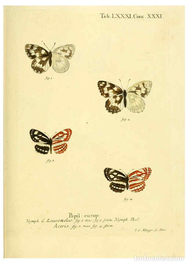 Sammeln von Zeitschriften und Zeitungen: Reproducci&oacute;n/Reproduction 6102772749: Die Schmetterlinge in Abbildungen nach der Natur. v.1 plates.