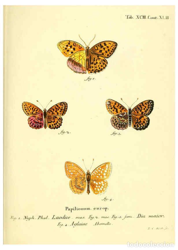 Sammeln von Zeitschriften und Zeitungen: Reproducci&oacute;n/Reproduction 6102776425: Die Schmetterlinge in Abbildungen nach der Natur. v.1 plates.