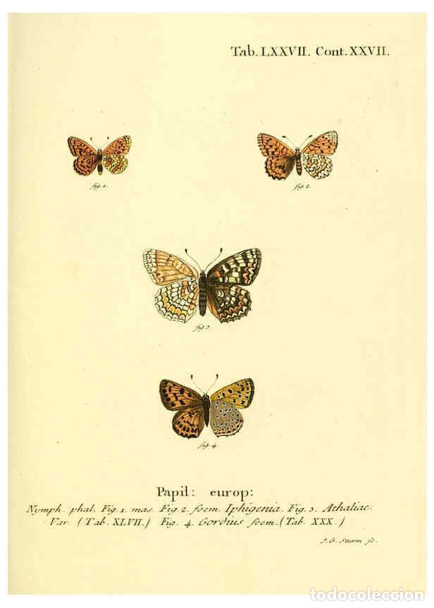 Sammeln von Zeitschriften und Zeitungen: Reproducci&oacute;n/Reproduction 6102771739: Die Schmetterlinge in Abbildungen nach der Natur. v.1 plates.