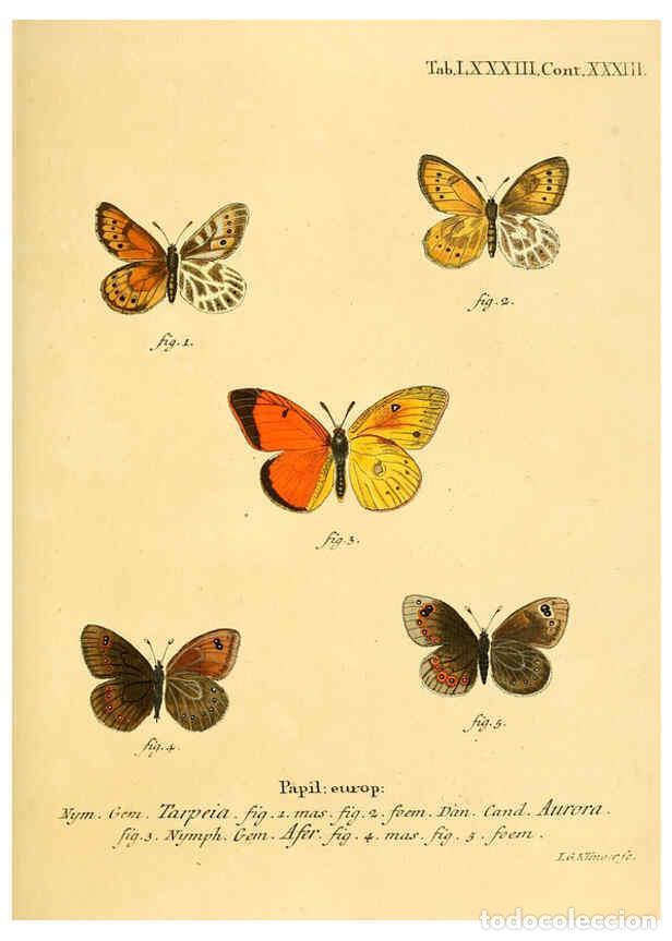 Sammeln von Zeitschriften und Zeitungen: Reproducci&oacute;n/Reproduction 6103319502: Die Schmetterlinge in Abbildungen nach der Natur. v.1 plates.