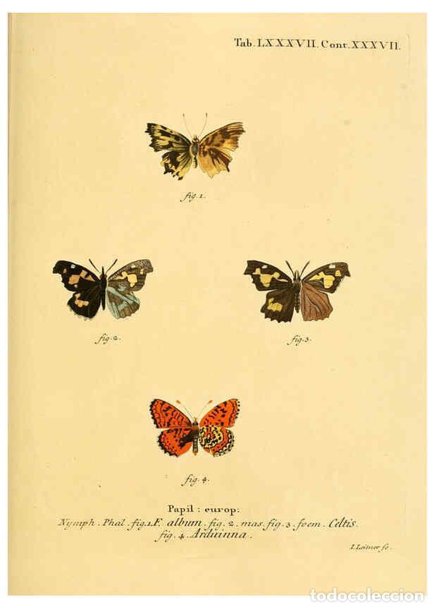 Sammeln von Zeitschriften und Zeitungen: Reproducci&oacute;n/Reproduction 6102774647: Die Schmetterlinge in Abbildungen nach der Natur. v.1 plates.
