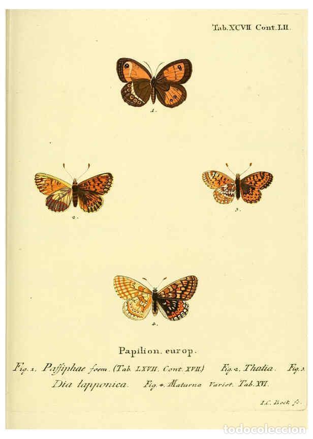Colecionismo de Revistas e Jornais: Reproducci&oacute;n/Reproduction 6102777621: Die Schmetterlinge in Abbildungen nach der Natur. v.1 plates.