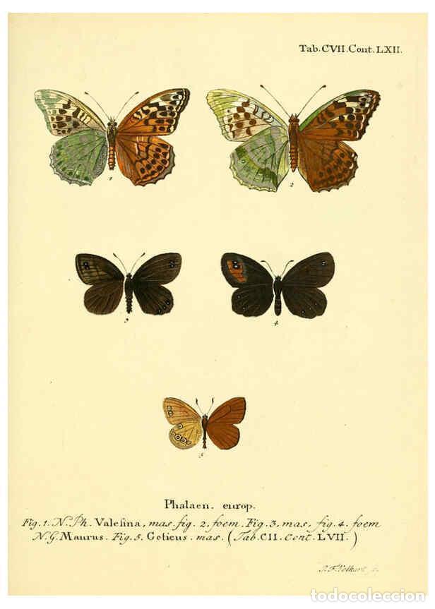 Colecionismo de Revistas e Jornais: Reproducci&oacute;n/Reproduction 6102780219: Die Schmetterlinge in Abbildungen nach der Natur. v.1 plates.