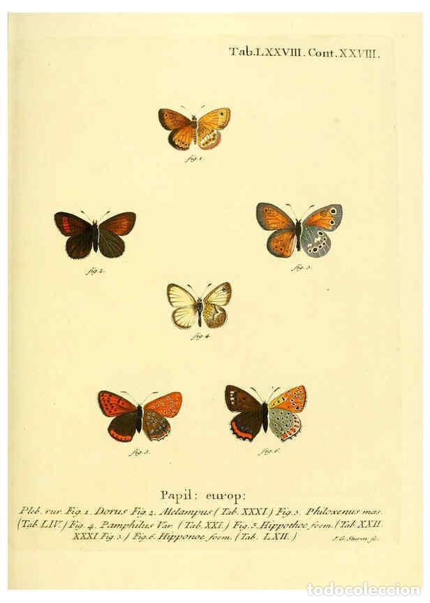 Colecionismo de Revistas e Jornais: Reproducci&oacute;n/Reproduction 6102771939: Die Schmetterlinge in Abbildungen nach der Natur. v.1 plates.
