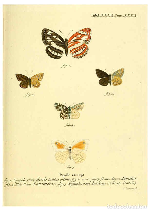 Colecionismo de Revistas e Jornais: Reproducci&oacute;n/Reproduction 6102773089: Die Schmetterlinge in Abbildungen nach der Natur. v.1 plates.