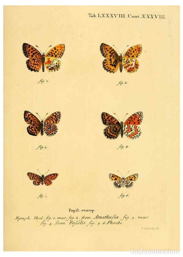 Colecionismo de Revistas e Jornais: Reproducci&oacute;n/Reproduction 6102774849: Die Schmetterlinge in Abbildungen nach der Natur. v.1 plates.