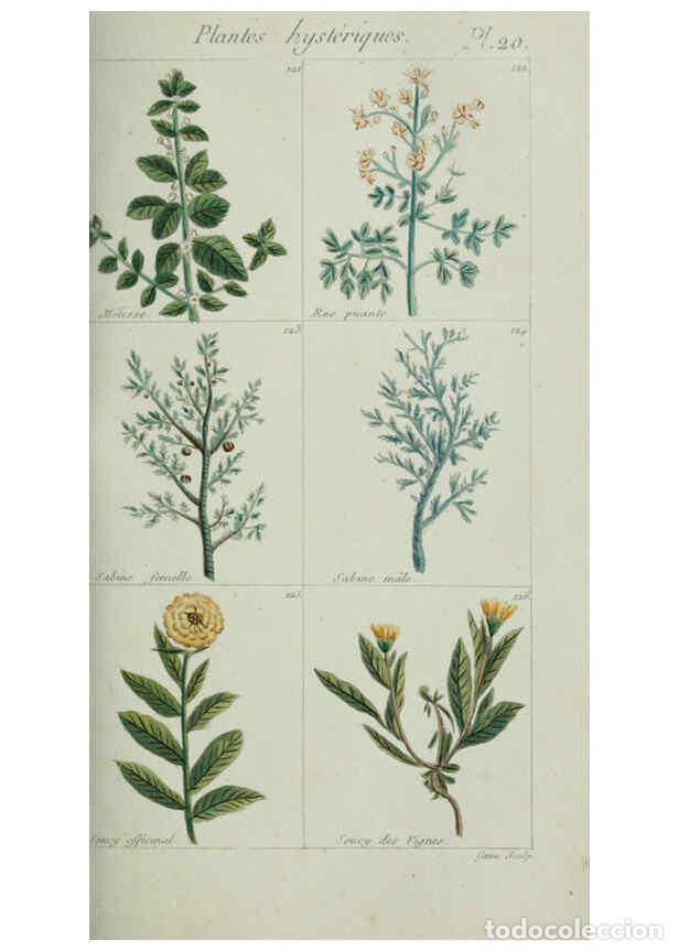 Colecionismo de Revistas e Jornais: Reproducci&oacute;n/Reproduction 6103444147: Plantes usuelles, indig&egrave;nes et exotiques Paris :Duprat-Duverge