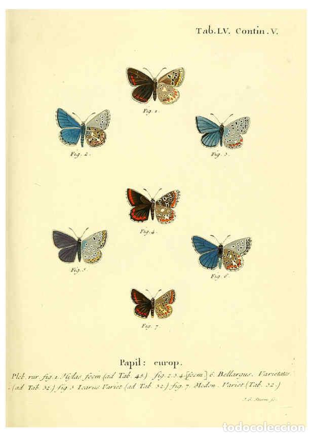 Colecionismo de Revistas e Jornais: Reproducci&oacute;n/Reproduction 6103309954: Die Schmetterlinge in Abbildungen nach der Natur. v.1 plates.