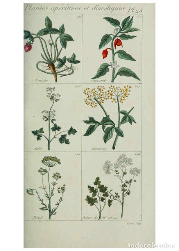 Colecionismo de Revistas e Jornais: Reproducci&oacute;n/Reproduction 6103993194: Plantes usuelles, indig&egrave;nes et exotiques Paris :Duprat-Duverge