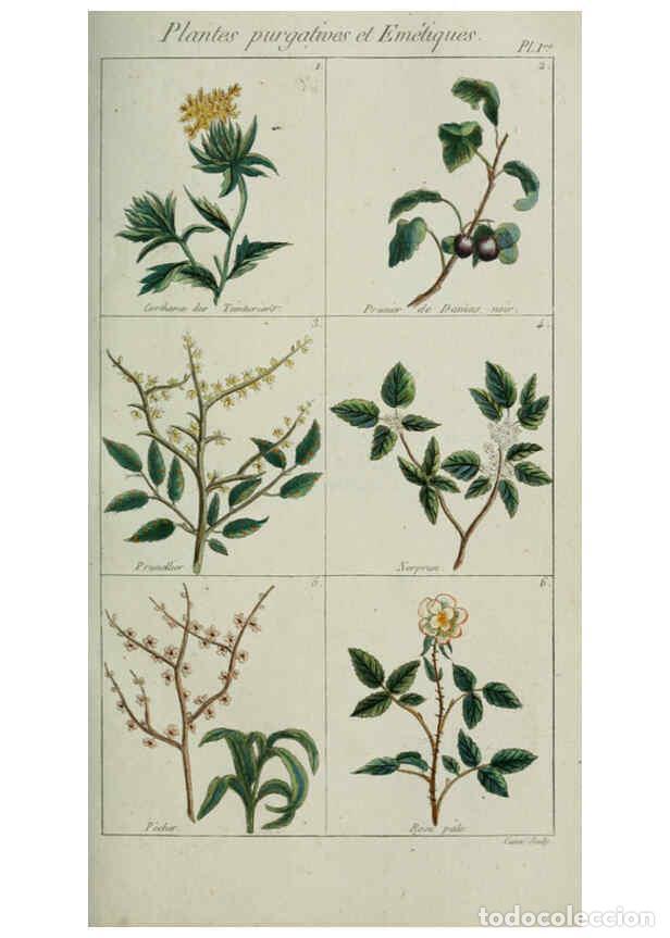 Colecionismo de Revistas e Jornais: Reproducci&oacute;n/Reproduction 6103986078: Plantes usuelles, indig&egrave;nes et exotiques Paris :Duprat-Duverge