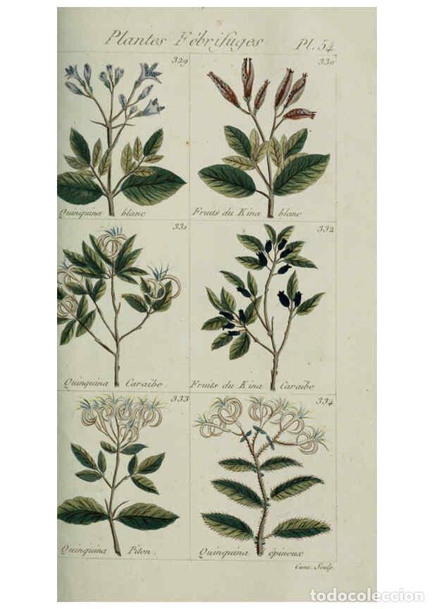 Colecionismo de Revistas e Jornais: Reproducci&oacute;n/Reproduction 6103454811: Plantes usuelles, indig&egrave;nes et exotiques Paris :Duprat-Duverge