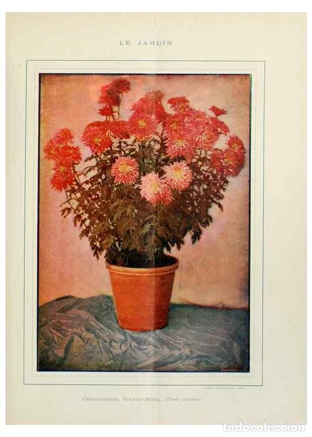 Colecionismo de Revistas e Jornais: Reproducci&oacute;n/Reproduction 7467874706: Le Jardin.. Paris :Librairie horticole du Jardin,1887-1921. -