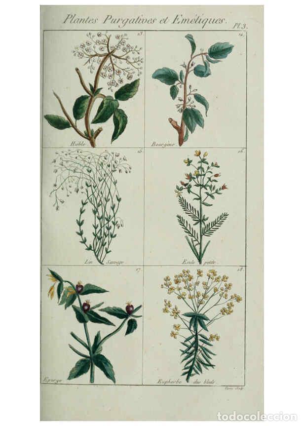 Colecionismo de Revistas e Jornais: Reproducci&oacute;n/Reproduction 6103439331: Plantes usuelles, indig&egrave;nes et exotiques Paris :Duprat-Duverge