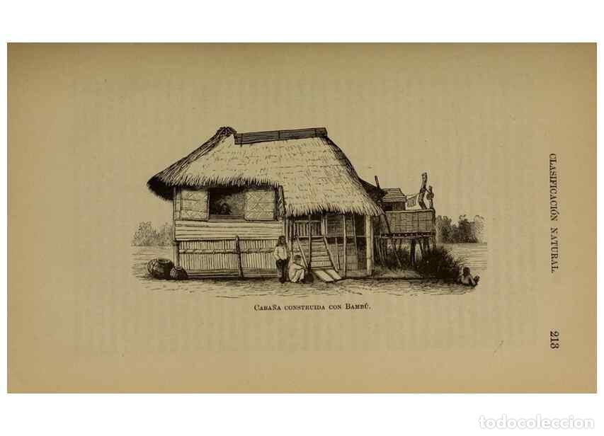 Collezionismo di Riviste e Giornali: Reproducci&oacute;n/Reproduction 7637178334: Libro primero de bot&aacute;nica (Reino vegetal). Nueva York,D. Apple