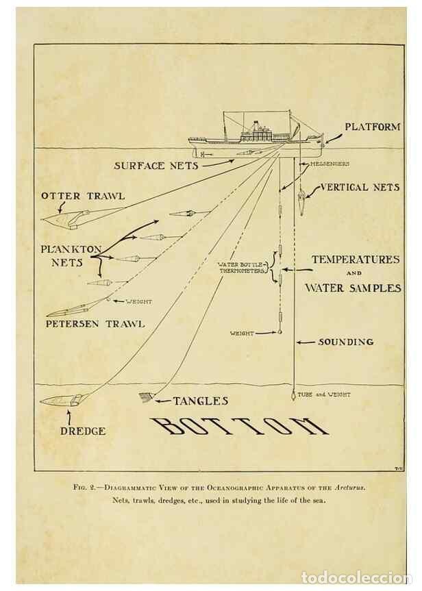 Collection Magazines and Newspapers: Reproducci&oacute;n/Reproduction 7698574290: The Arcturus adventure :. New York :Putnam,1926. - Beebe, Will
