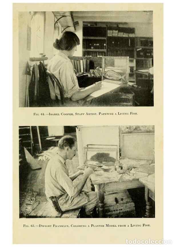 Collectionnisme de Revues et Journaux: Reproducci&oacute;n/Reproduction 7698642192: The Arcturus adventure :. New York :Putnam,1926. - Beebe, Will