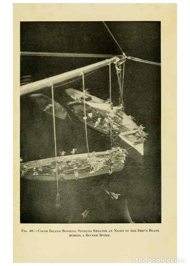 Coleccionismo de Revistas y Peri&oacute;dicos: Reproducci&oacute;n/Reproduction 7698623174: The Arcturus adventure :. New York :Putnam,1926. - Beebe, Will