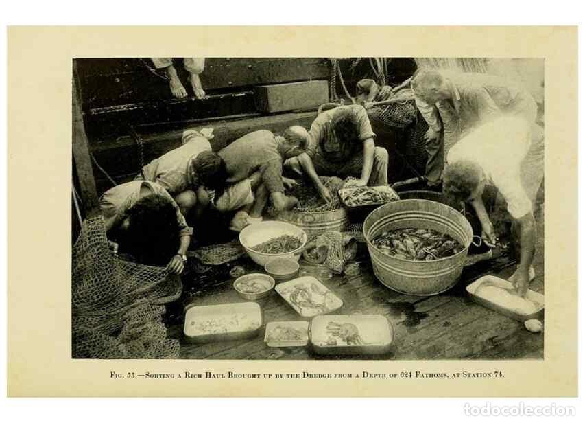 Collezionismo di Riviste e Giornali: Reproducci&oacute;n/Reproduction 7698636630: The Arcturus adventure :. New York :Putnam,1926. - Beebe, Will