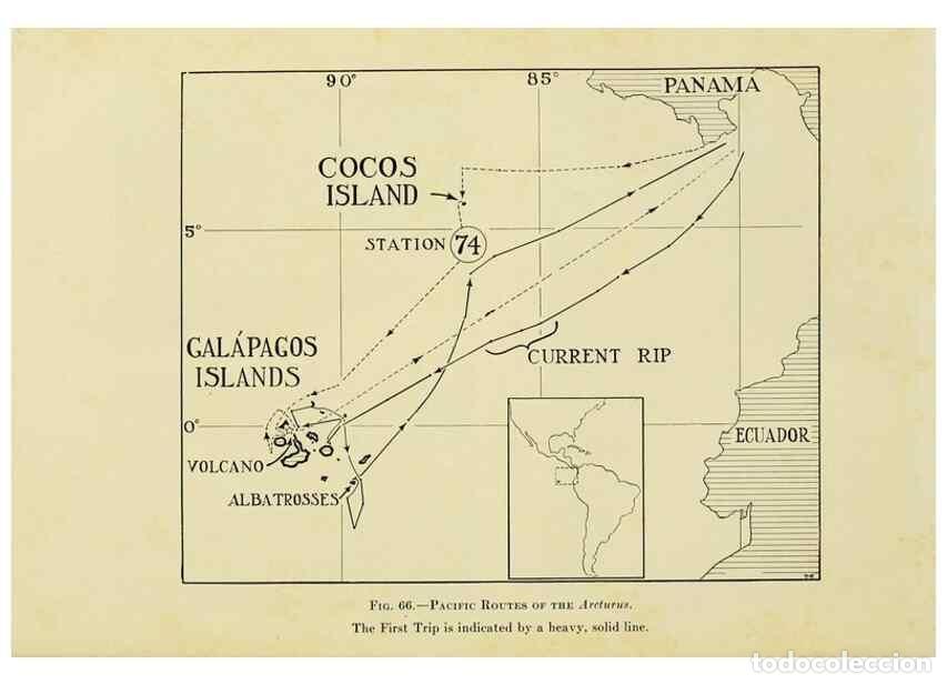 Sammeln von Zeitschriften und Zeitungen: Reproducci&oacute;n/Reproduction 7698643338: The Arcturus adventure :. New York :Putnam,1926. - Beebe, Will