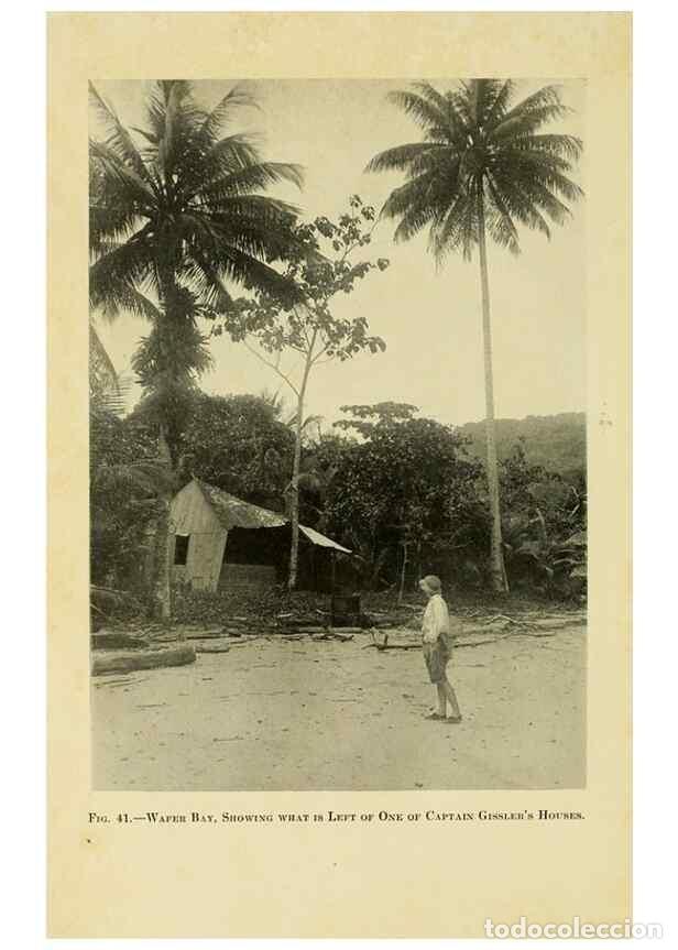 Collection Magazines and Newspapers: Reproducci&oacute;n/Reproduction 7698624910: The Arcturus adventure :. New York :Putnam,1926. - Beebe, Will