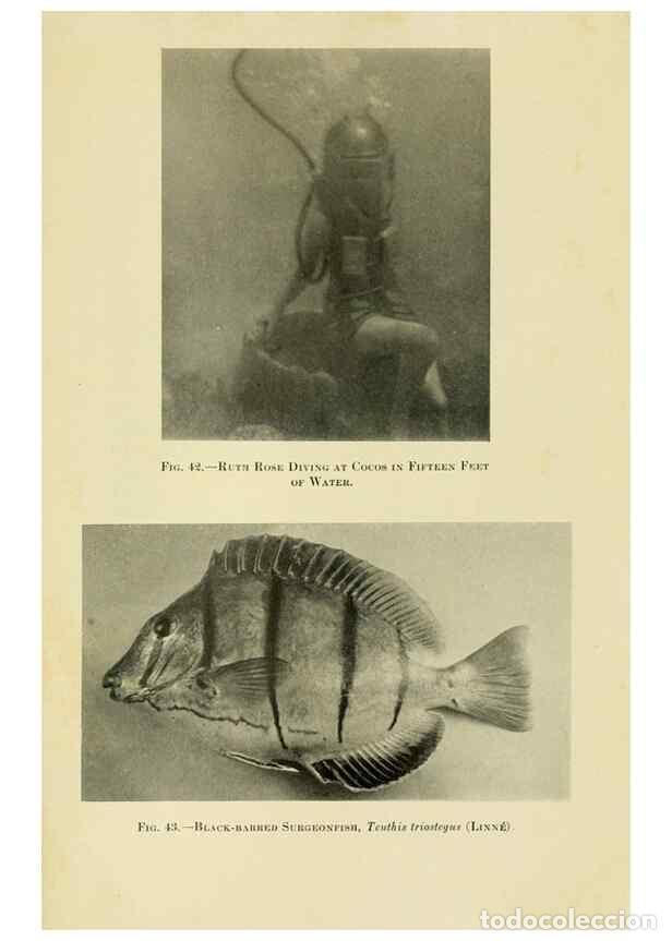 Collection Magazines and Newspapers: Reproducci&oacute;n/Reproduction 7698627606: The Arcturus adventure :. New York :Putnam,1926. - Beebe, Will