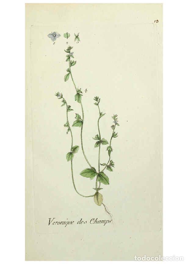 Coleccionismo de Revistas y Peri&oacute;dicos: Reproducci&oacute;n/Reproduction 6055470263: Flora Parisiensis. v.1. Paris,P.F. Didot,1776-1783 - Pierre Bu